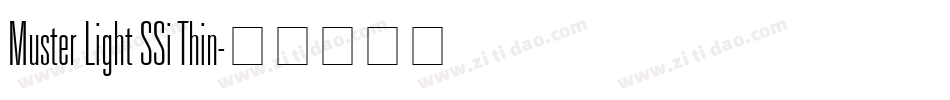 Muster Light SSi Thin字体转换